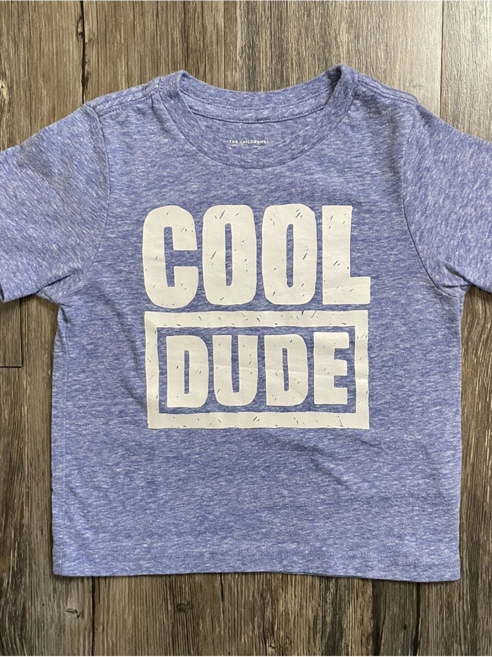 The Childrens Place Graphic T shirt “COOL DUDE” size 18-24 Months